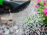 Water assortiment