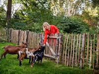 Natuurlijke erfafscheiding