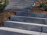 Traptreden en bielzen