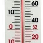Thermometer kunststof 40 cm