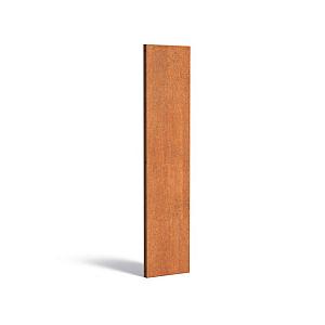 CorTen Paneel Basic 400 x 50 x 1800