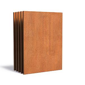 Decoratief paneel basic Corten 1350 x 50 x 1800 mm