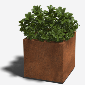 Cortenstaal gelaste plantenbak Vierkant 50x50x50 - MET Bodemplaat