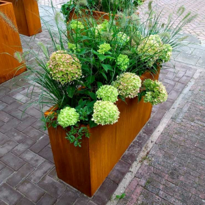 Cortenstaal plantenbak Rechthoek 30x100 H=60 cm ZONDER bodemplaat