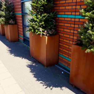 Cortenstaal plantenbak Rechthoek 30x100 H=80 cm ZONDER bodemplaat