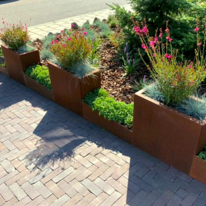 Cortenstaal plantenbak Rechthoek 30x60 H=30 cm MET bodemplaat + voeten