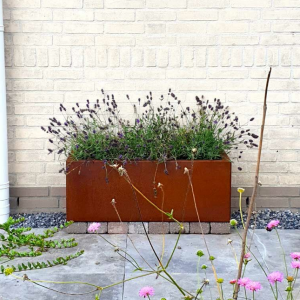 Cortenstaal plantenbak Rechthoek 30x80 H=30 cm ZONDER bodemplaat
