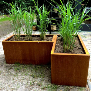 Cortenstaal plantenbak Rechthoek 50x100 H=50 cm ZONDER bodemplaat