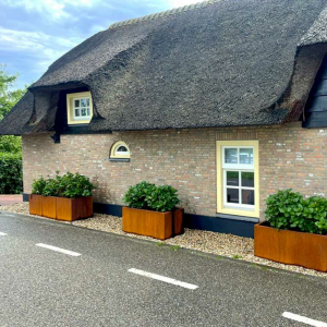 Cortenstaal plantenbak Rechthoek 50x100 H=80 cm ZONDER bodemplaat