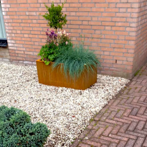 Cortenstaal plantenbak Rechthoek 50x80 H=30 cm ZONDER bodemplaat