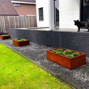 Cortenstaal plantenbak Rechthoek 60x100 H=60 cm MET bodemplaat