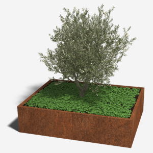 Cortenstaal plantenbak Rechthoek XL 160x120 H=40 cm ZONDER bodemplaat