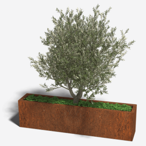 Cortenstaal plantenbak Rechthoek XL 160x30 H=40 cm ZONDER bodemplaat