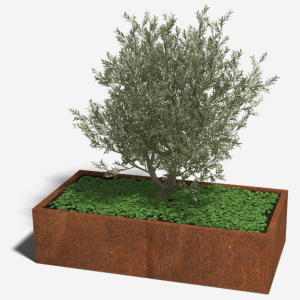Cortenstaal plantenbak Rechthoek XL 160x80 H=60 cm ZONDER bodemplaat