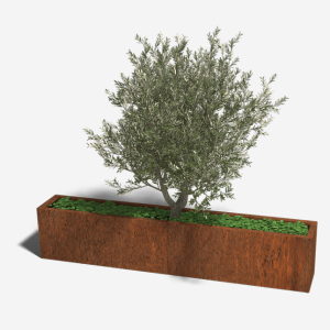 Cortenstaal plantenbak Rechthoek XL 200x30 H=40 cm MET bodemplaat