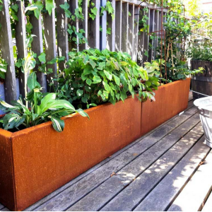 Cortenstaal plantenbak Rechthoek XL 200x30 H=60 cm ZONDER bodemplaat
