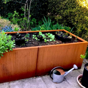 Cortenstaal plantenbak Rechthoek XL 200x80 H=60 cm ZONDER bodemplaat