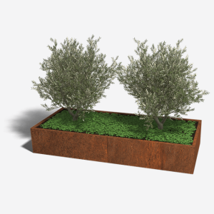 Cortenstaal plantenbak Rechthoek XL 240x100 H=40 cm ZONDER bodemplaat