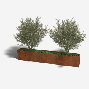 Cortenstaal plantenbak Rechthoek XL 240x30 H=60 cm MET bodemplaat