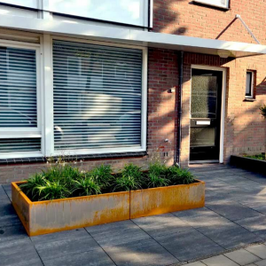 Cortenstaal plantenbak Rechthoek XL 240x40 H=60 cm ZONDER bodemplaat