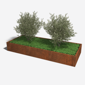Cortenstaal plantenbak Rechthoek XL 300x120 H=30 cm ZONDER bodemplaat
