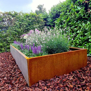 Cortenstaal plantenbak Rechthoek XL 300x120 H=60 cm MET bodemplaat