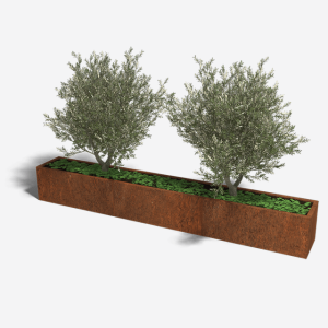 Cortenstaal plantenbak Rechthoek XL 300x40 H=30 cm ZONDER bodemplaat