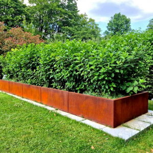 Cortenstaal plantenbak Rechthoek XL 300x40 H=60 cm MET bodemplaat