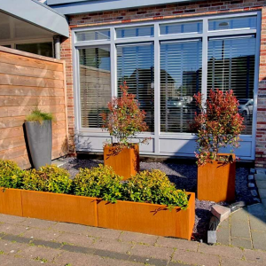 Cortenstaal plantenbak Rechthoek XL 300x50 H=30 cm ZONDER bodemplaat