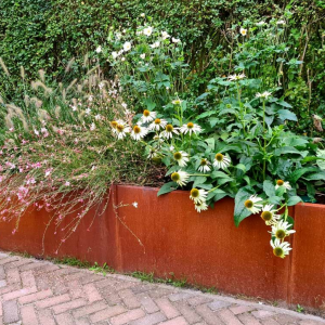 Cortenstaal plantenbak Rechthoek XL 300x80 H=40 cm MET bodemplaat