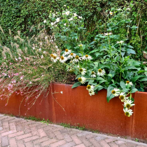 Cortenstaal plantenbak Rechthoek XL 320x100 H=80 cm MET bodemplaat