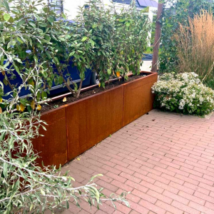 Cortenstaal plantenbak Rechthoek XL 320x30 H=60 cm MET bodemplaat