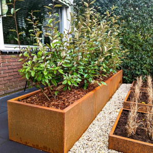 Cortenstaal plantenbak Rechthoek XL 320x50 H=60 cm ZONDER bodemplaat