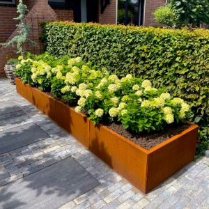 Cortenstaal plantenbak Rechthoek XL 320x80 H=80 cm ZONDER bodemplaat