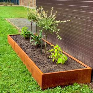 Cortenstaal plantenbak Rechthoek XL 360x80 H=60 cm ZONDER bodemplaat