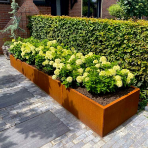 Cortenstaal plantenbak Rechthoek XL 400x30 H=30 cm ZONDER bodemplaat