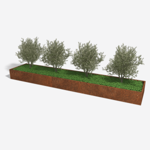 Cortenstaal plantenbak Rechthoek XL 500x100 H=30 cm MET bodemplaat