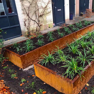 Cortenstaal plantenbak Rechthoek XL 500x100 H=50 cm ZONDER bodemplaat