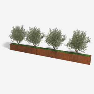 Cortenstaal plantenbak Rechthoek XL 500x30 H=30 cm MET bodemplaat