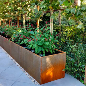 Cortenstaal plantenbak Rechthoek XL 500x40 H=60 cm ZONDER bodemplaat