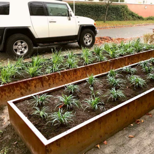 Cortenstaal plantenbak Rechthoek XL 500x80 H=40 cm ZONDER bodemplaat