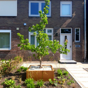 Cortenstaal plantenbak Vierkant 100x100 H=100 cm ZONDER bodemplaat