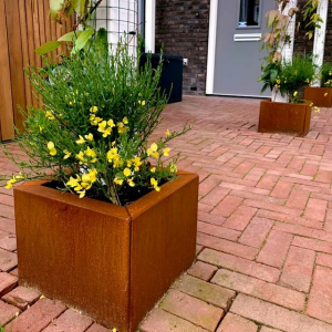 Cortenstaal plantenbak Vierkant 30x30 H=30 cm ZONDER bodemplaat