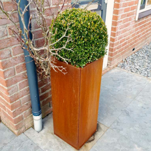Cortenstaal plantenbak Vierkant 30x30 H=60 cm MET bodemplaat + (8) voeten