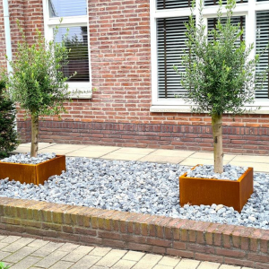 Cortenstaal plantenbak Vierkant 60x60 H=30 cm MET bodemplaat + voeten