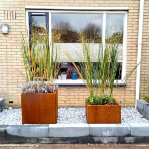 Cortenstaal plantenbak Vierkant 60x60 H=40 cm MET bodemplaat + voeten