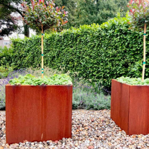Cortenstaal plantenbak Vierkant 70x70 H=70 cm ZONDER bodemplaat