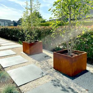 Cortenstaal plantenbak Vierkant 80x80 H=60 cm MET bodemplaat + wielen