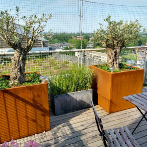 Cortenstaal plantenbak Vierkant 80x80 H=80 cm MET bodemplaat + voeten