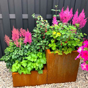 Cortenstaal plantenbak Vierkant Trapmodel 2 stuks 40x40 H=30+60 cm ZONDER bodemplaat